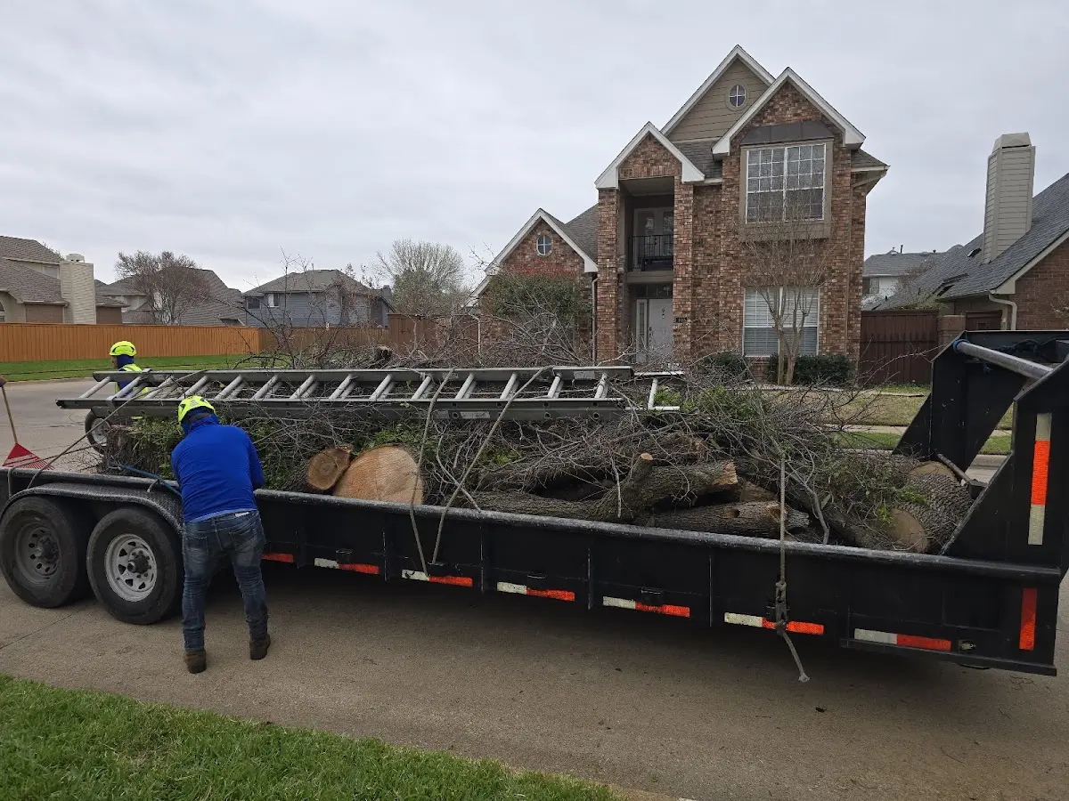 Expert Tree Pest Control with proper safety equipment in Lindenhurst